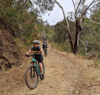 Mount Lofty Descent Bike Tour from Adelaide - Timeshare Accommodation