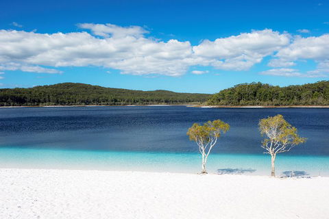 All-Inclusive Fraser Island Day Tour - Timeshare Accommodation 3