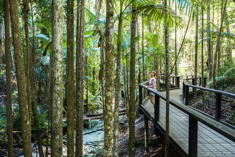 All-Inclusive Fraser Island Day Tour - Timeshare Accommodation 5