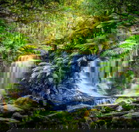 Day Tour in Mt. Field Mt. Wellington Bonorong Wildlife Sanctuary and Richmond - Timeshare Accommodation