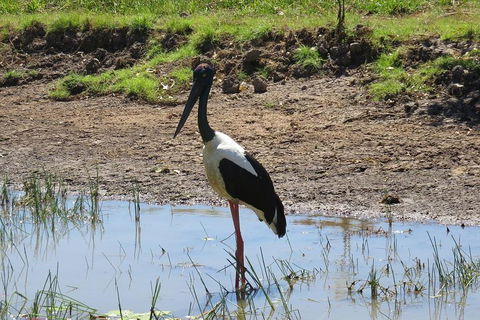 Darwin To Kakadu Day Trip By Air Including Yellow Water Cruise - Timeshare Accommodation 0