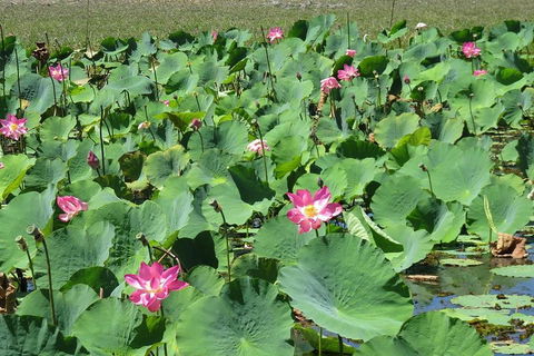 Darwin To Kakadu Day Trip By Air Including Yellow Water Cruise - Timeshare Accommodation 2