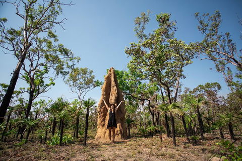 Litchfield National Park - Top End Day Tour From Darwin - Timeshare Accommodation 5