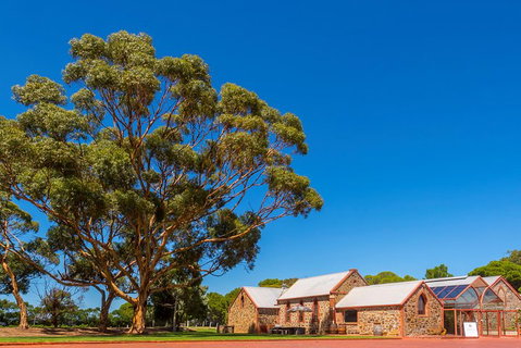 McLaren Vale And Glenelg Wine Tasting And Sightseeing (Half-day Afternoon) - Timeshare Accommodation 5