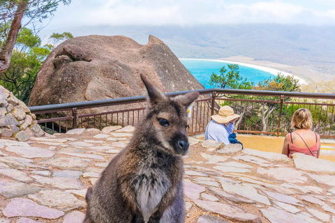 Wineglass Bay & Freycinet NP Full Day Tour From Hobart Via Richmond Village - Timeshare Accommodation 0