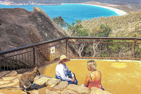 Wineglass Bay & Freycinet NP Full Day Tour From Hobart Via Richmond Village - Timeshare Accommodation 1