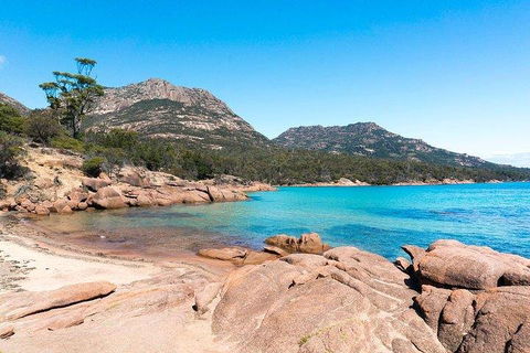 Wineglass Bay & Freycinet NP Full Day Tour From Hobart Via Richmond Village - Timeshare Accommodation 5
