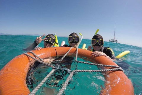 Full-Day Great Barrier Reef Sailing Trip - Timeshare Accommodation 0