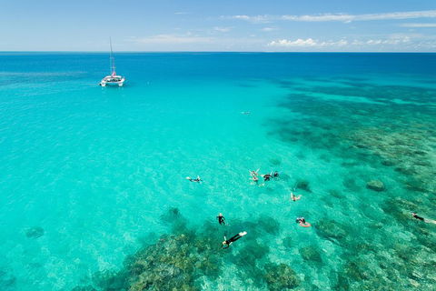 Full-Day Great Barrier Reef Sailing Trip - Timeshare Accommodation 2