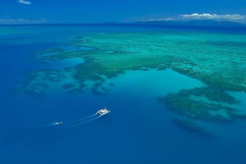 Full-Day Great Barrier Reef Sailing Trip - Timeshare Accommodation 3