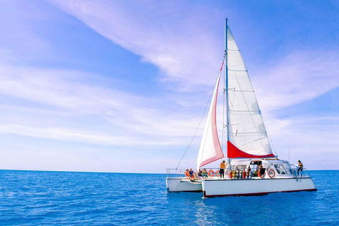 Full-Day Great Barrier Reef Sailing Trip - Timeshare Accommodation 4
