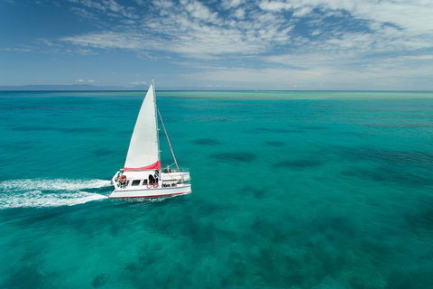 Full-Day Great Barrier Reef Sailing Trip - Timeshare Accommodation 5