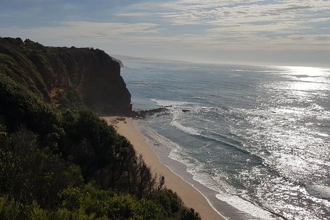 Full-Day Great Ocean Road Tour From Melbourne - Timeshare Accommodation 0