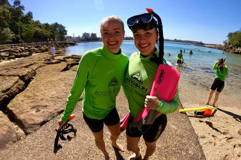 Manly Snorkel Trip And Nature Walk With Local Guide - Timeshare Accommodation 1