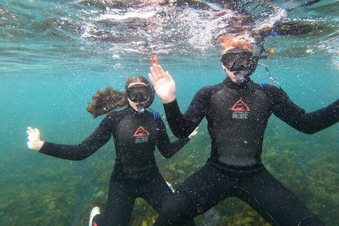 Manly Snorkel Trip And Nature Walk With Local Guide - Timeshare Accommodation 3