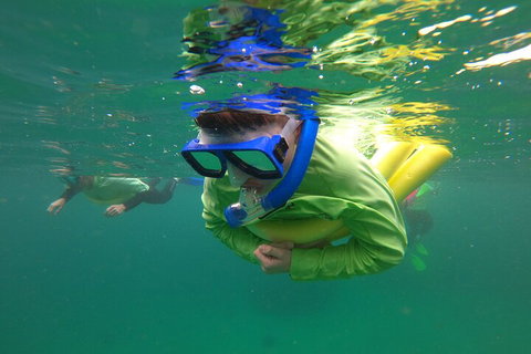 Manly Snorkel Trip And Nature Walk With Local Guide - Timeshare Accommodation 5
