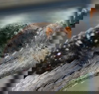 Sunset Experience - Timeshare Accommodation