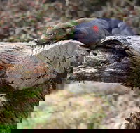 Day Keeper Tour - Timeshare Accommodation