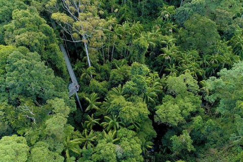 Natural Bridge, Skywalk And Mt Tamborine Adventure! - Timeshare Accommodation 2