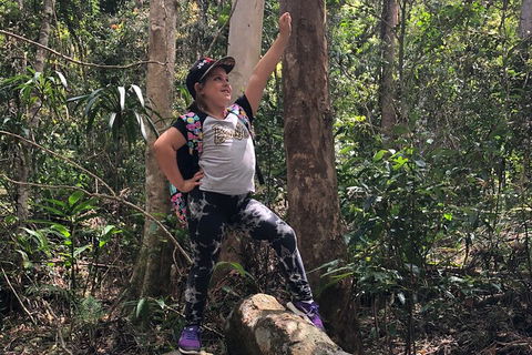 Natural Bridge, Skywalk And Mt Tamborine Adventure! - Timeshare Accommodation 3