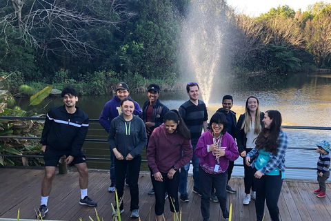 Natural Bridge, Skywalk And Mt Tamborine Adventure! - Timeshare Accommodation 4