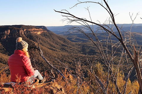 Ultimate Blue Mountains Waterfalls, Walks & Sunset PRIVATE Tour - Timeshare Accommodation 2