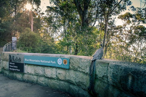 Ultimate Blue Mountains Waterfalls, Walks & Sunset PRIVATE Tour - Timeshare Accommodation 3