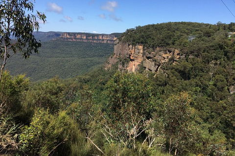 Full-Day Private Blue Mountains Tour With River Cruise - Timeshare Accommodation 1