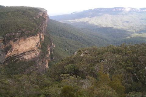Full-Day Private Blue Mountains Tour With River Cruise - Timeshare Accommodation 3