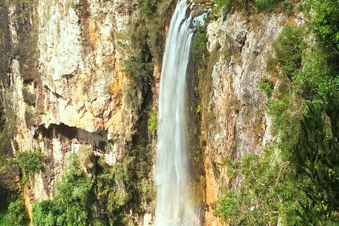 Natural Arch, Rainforest & Volcano Canyon - Private Half Day Tour - Timeshare Accommodation 2
