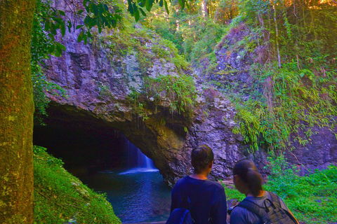 Natural Arch, Rainforest & Volcano Canyon - Private Half Day Tour - Timeshare Accommodation 4