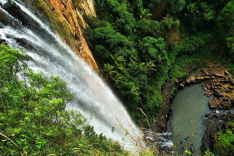 Natural Arch, Rainforest & Volcano Canyon - Private Half Day Tour - Timeshare Accommodation 5