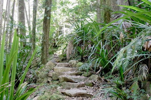 Byron Bay Combo: Minyon Falls And Hinterland Day Trip And Learn To Surf At Byron Bay - Timeshare Accommodation 3