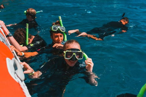 Whitehaven Beach And Hill Inlet Lookout Full-Day Snorkeling Cruise By High-Speed Catamaran - Timeshare Accommodation 3