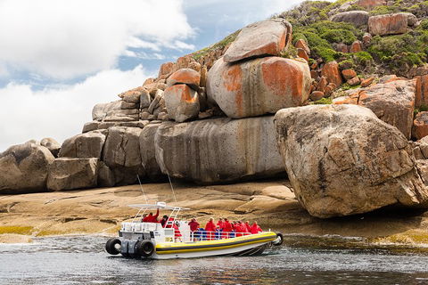 Wilsons Promontory Wilderness Cruise From Tidal River - Timeshare Accommodation 4