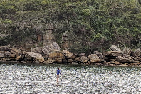 Manly & Sydney's Northern Beaches With 'Personalised Sydney Tours' - Timeshare Accommodation 3