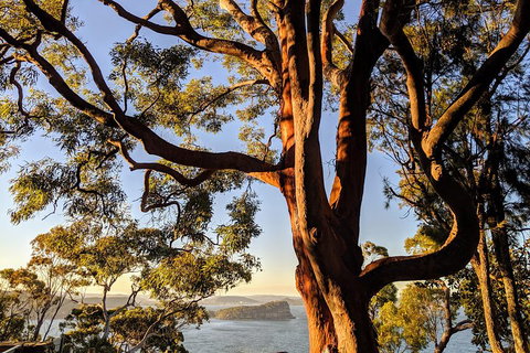 Manly & Sydney's Northern Beaches With 'Personalised Sydney Tours' - Timeshare Accommodation 4