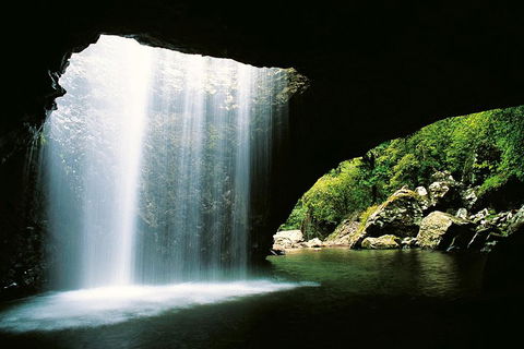 Natural Bridge & Springbrook Waterfalls Tour - Timeshare Accommodation 0