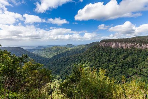 Natural Bridge & Springbrook Waterfalls Tour - Timeshare Accommodation 1