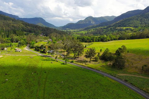 Natural Bridge & Springbrook Waterfalls Tour - Timeshare Accommodation 2