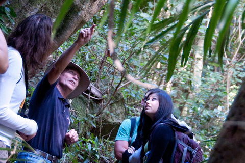 Natural Bridge & Springbrook Waterfalls Tour - Timeshare Accommodation 4