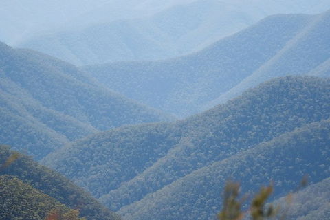 From The Mountains To The Bay - 4 Day Rediscovery Private Tour - Timeshare Accommodation 1