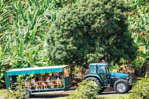 Northern Rivers Full Day Wine Tour - Timeshare Accommodation 1