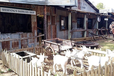 Full Day Atherton Tablelands Tour From Cairns - Timeshare Accommodation 4