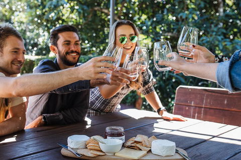 Full-day Wine-Tasting And Tamborine Mountain Tour With Lunch - Timeshare Accommodation 0