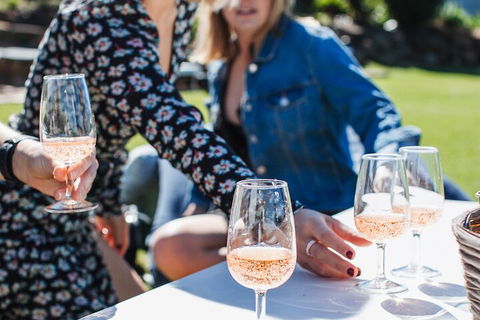 Full-day Wine-Tasting And Tamborine Mountain Tour With Lunch - Timeshare Accommodation 1