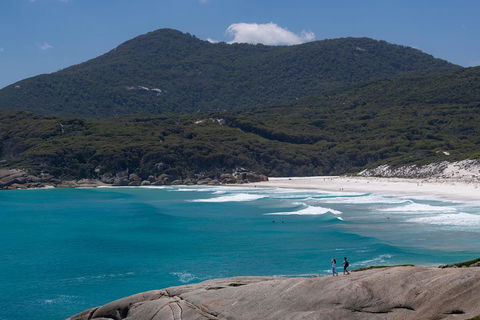 Wilson's Promontory Small Group Eco Tour From Melbourne - Timeshare Accommodation 0