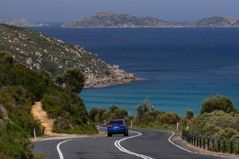Wilson's Promontory Small Group Eco Tour From Melbourne - Timeshare Accommodation 5