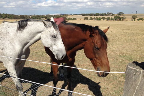 Legends & Champions Tour - Timeshare Accommodation 1