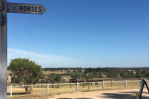 Legends & Champions Tour - Timeshare Accommodation 5